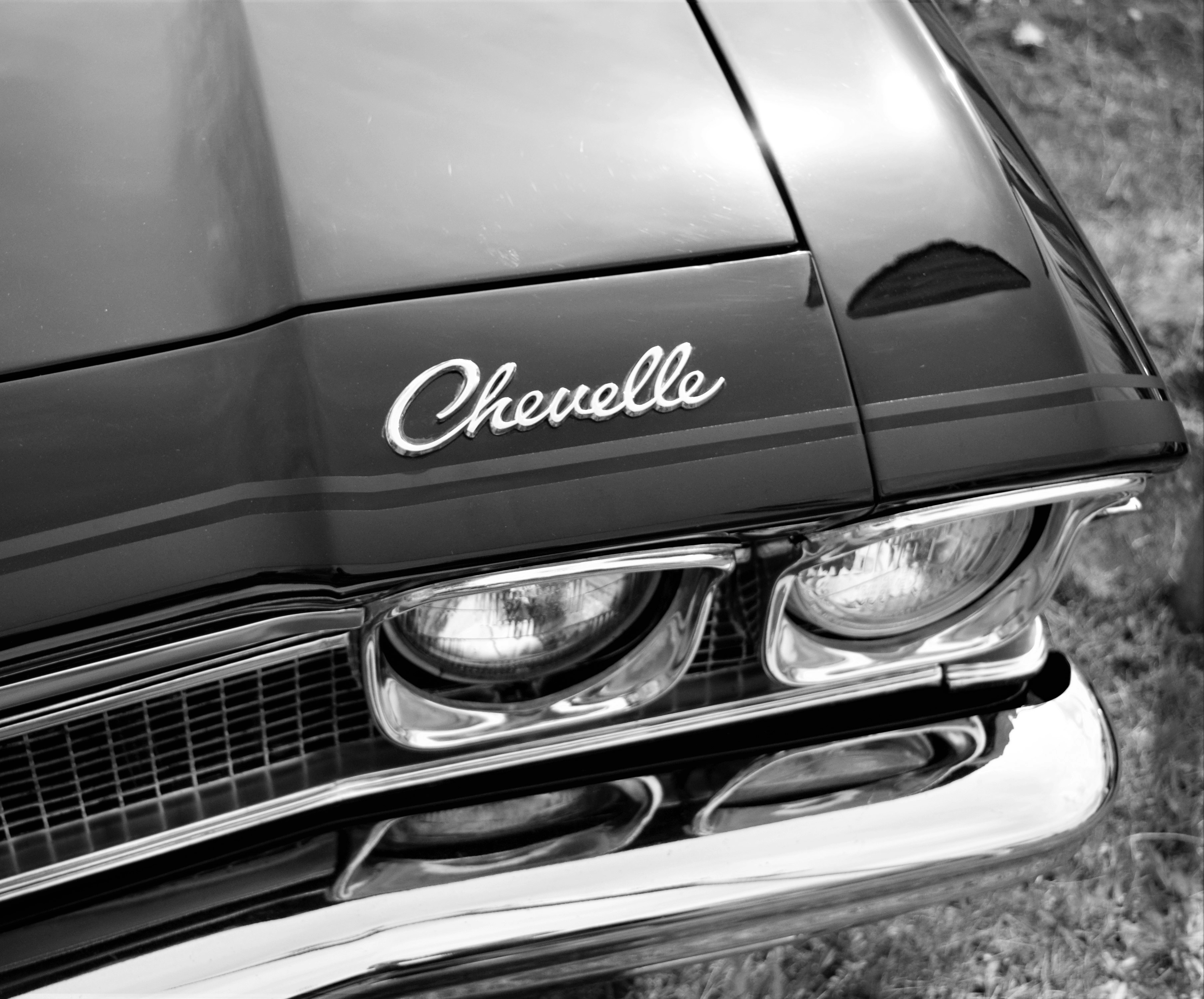 Free Unsplash photo from Paul Frenzel