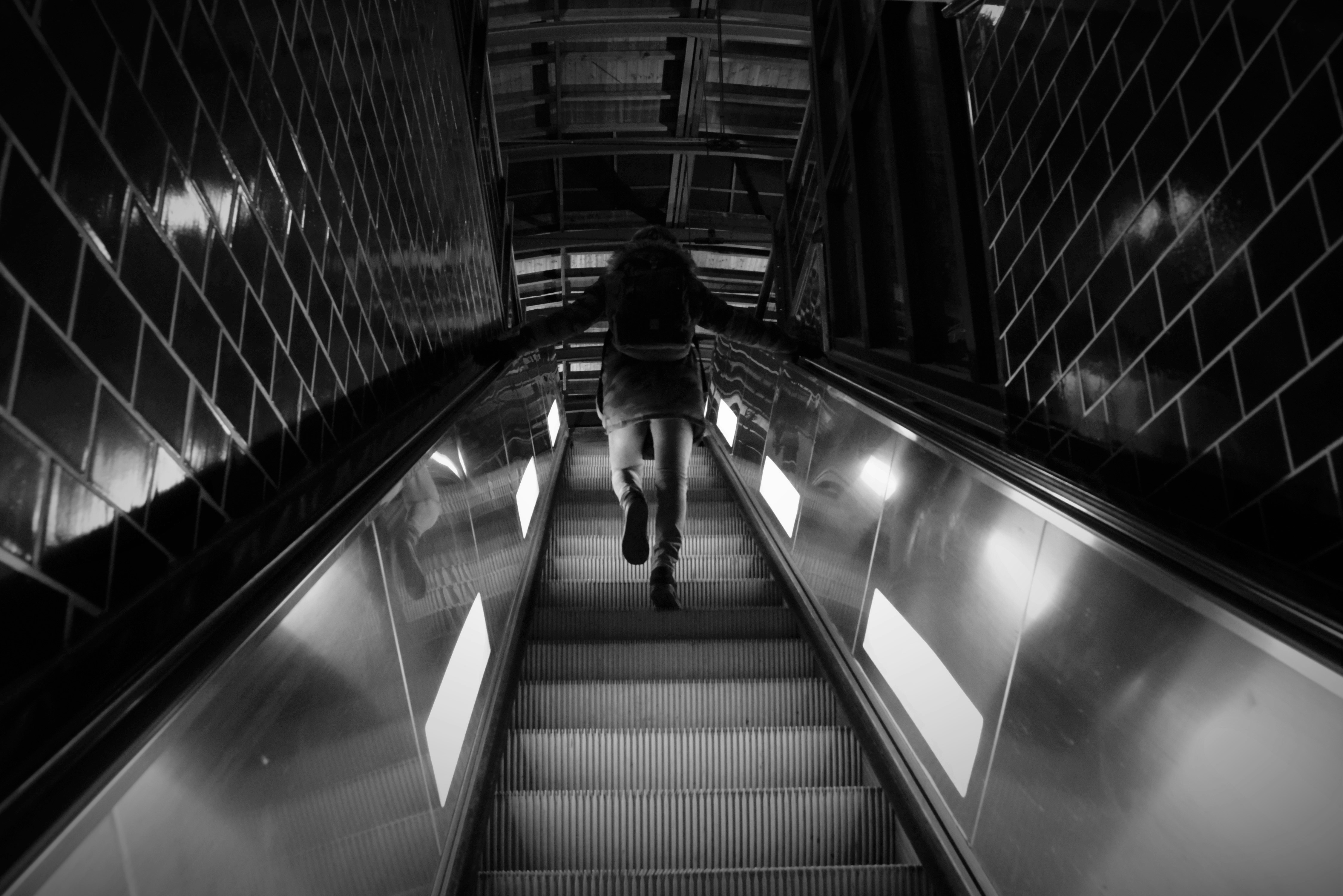 Free Unsplash photo from Paul Frenzel