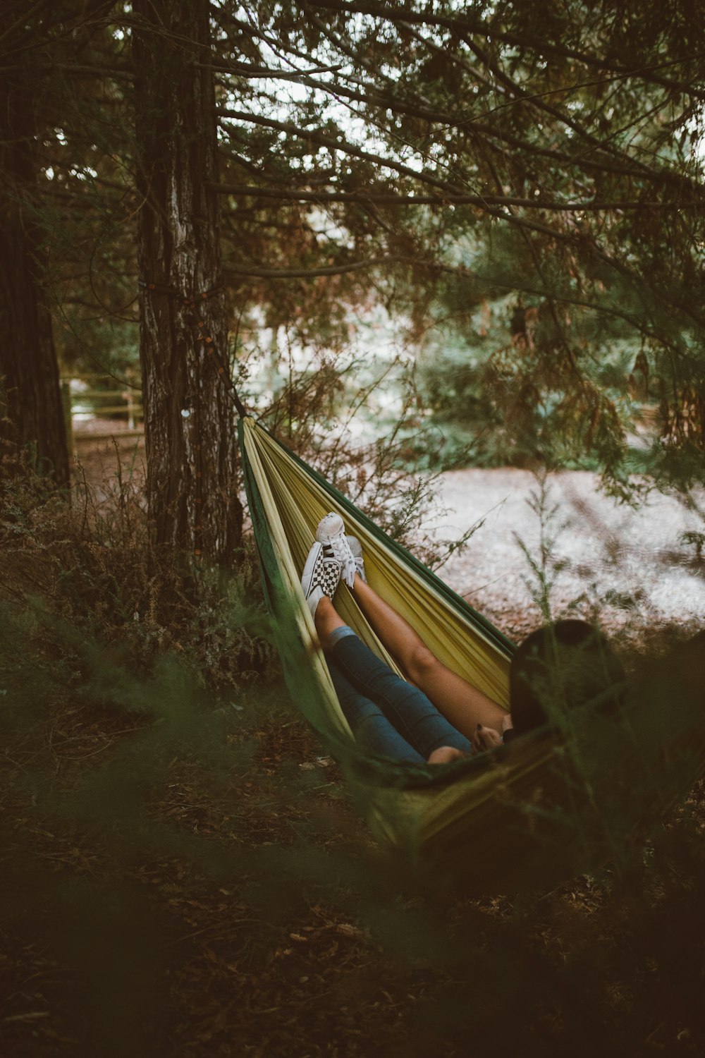 person on yellow hammock hanging on tree