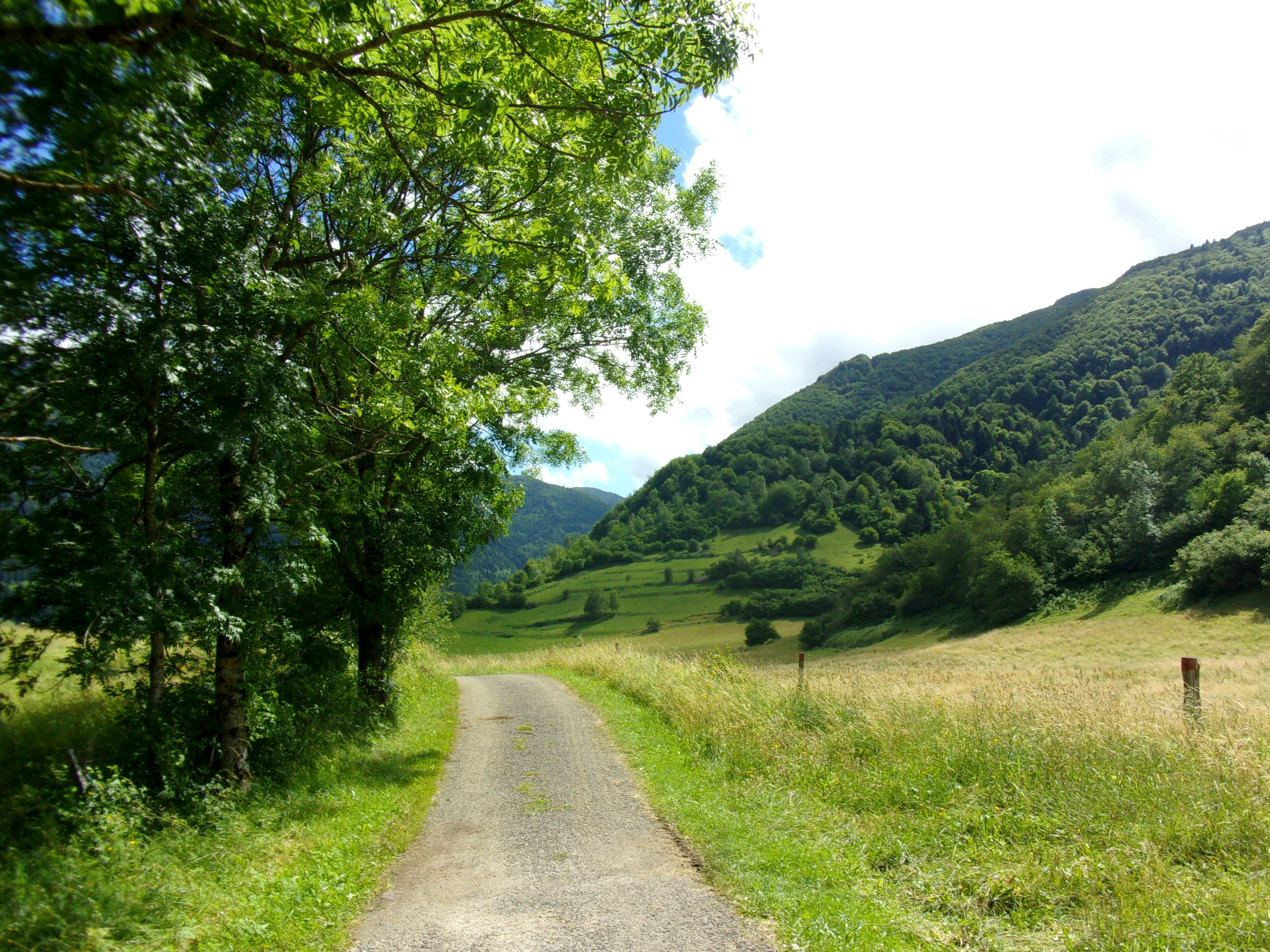 Free Unsplash photo from Bilel Jegham