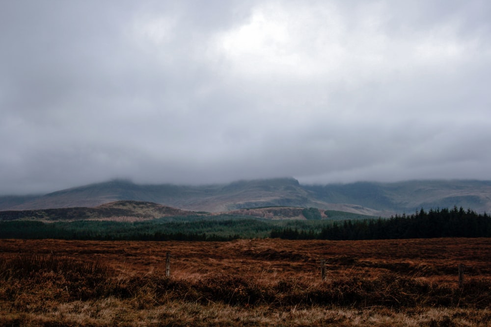 grasslands during cloudy day