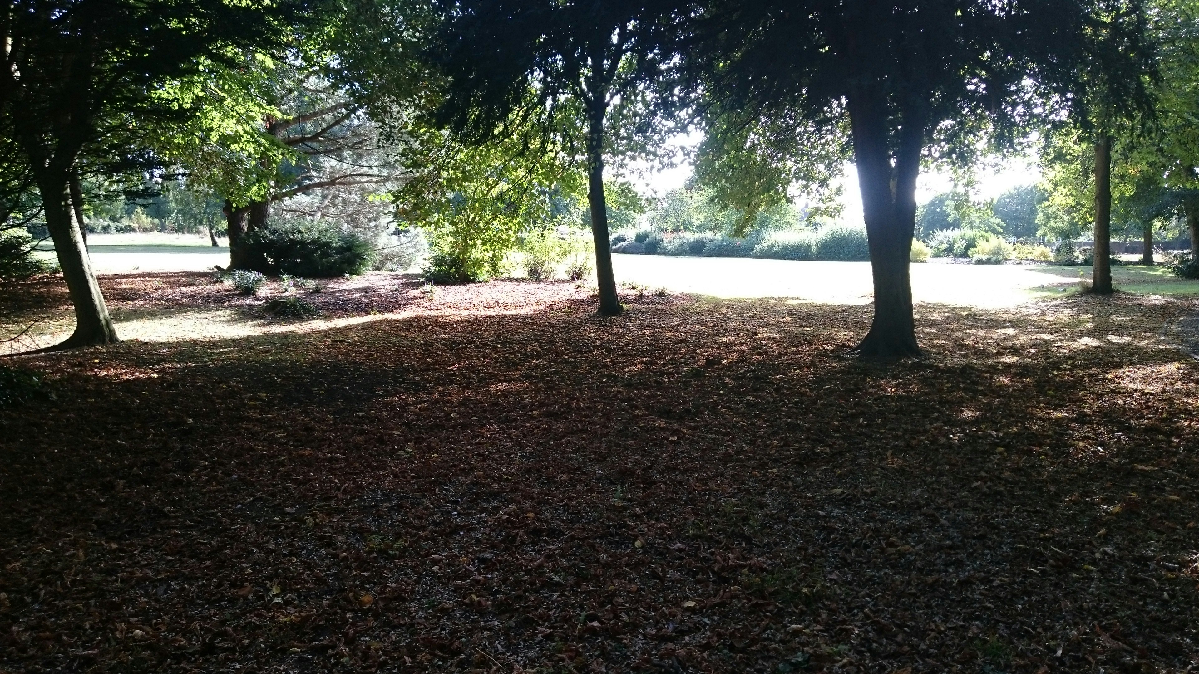 Free Unsplash photo from Nataliya Klymko