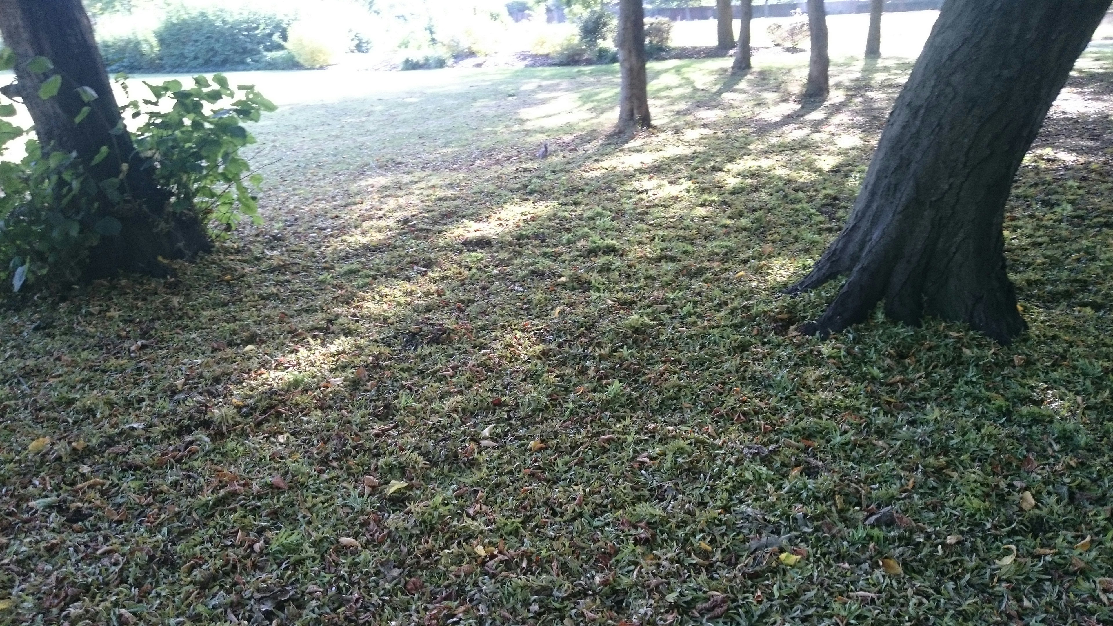 Free Unsplash photo from Nataliya Klymko