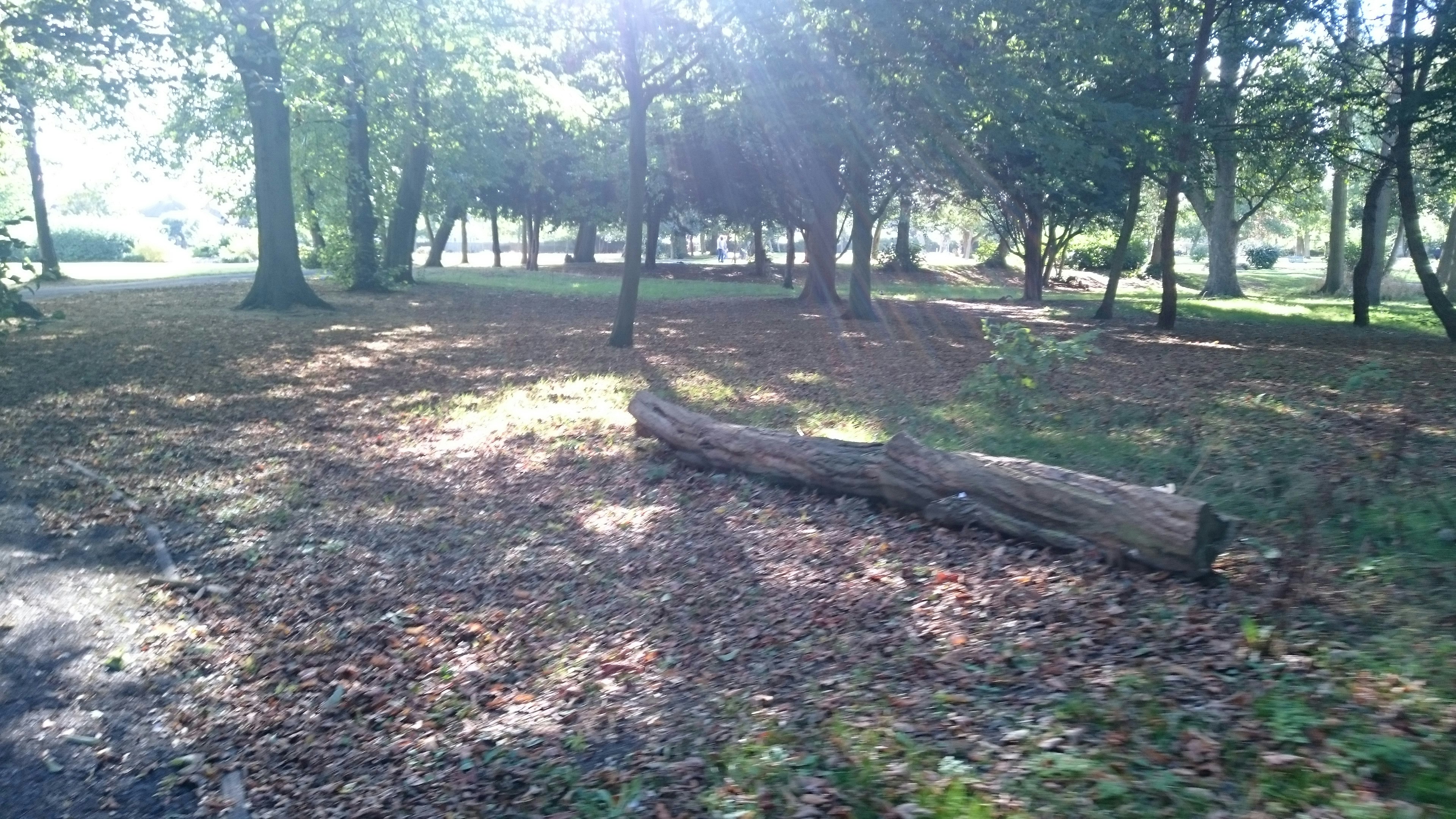 Free Unsplash photo from Nataliya Klymko