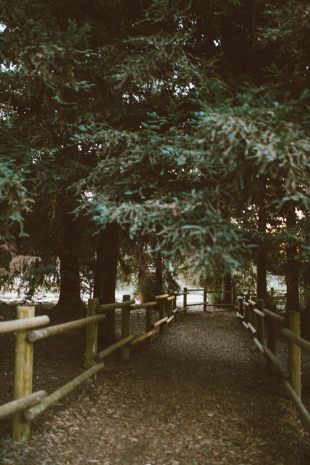 a wooden fence with a row of trees in the background