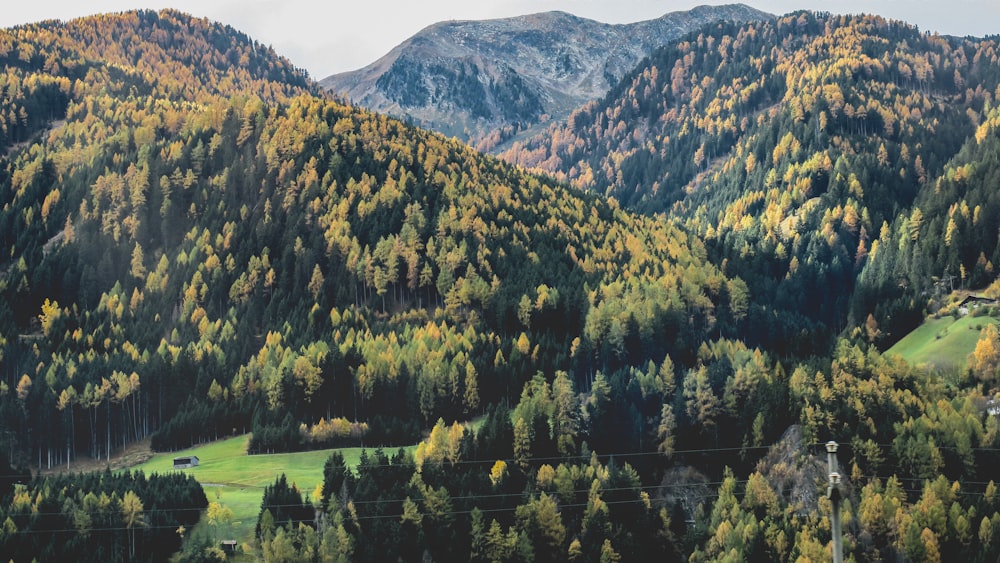 Landschaftsaufnahmen aus der Luft von grünen Bäumen gefüllten Bergen unter blauem, ruhigem Himmel