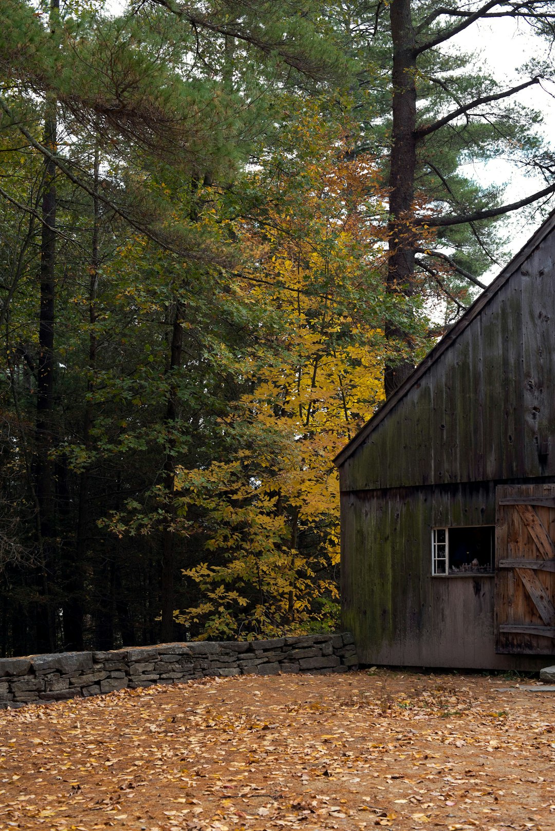 photo of Sturbridge Forest near Old Stone Church