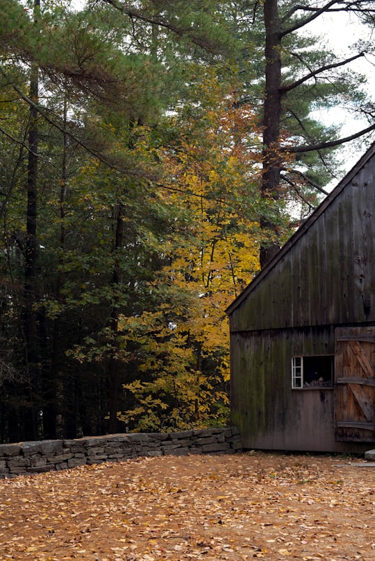 brown wooden house surrounded by trees in Sturbridge United States