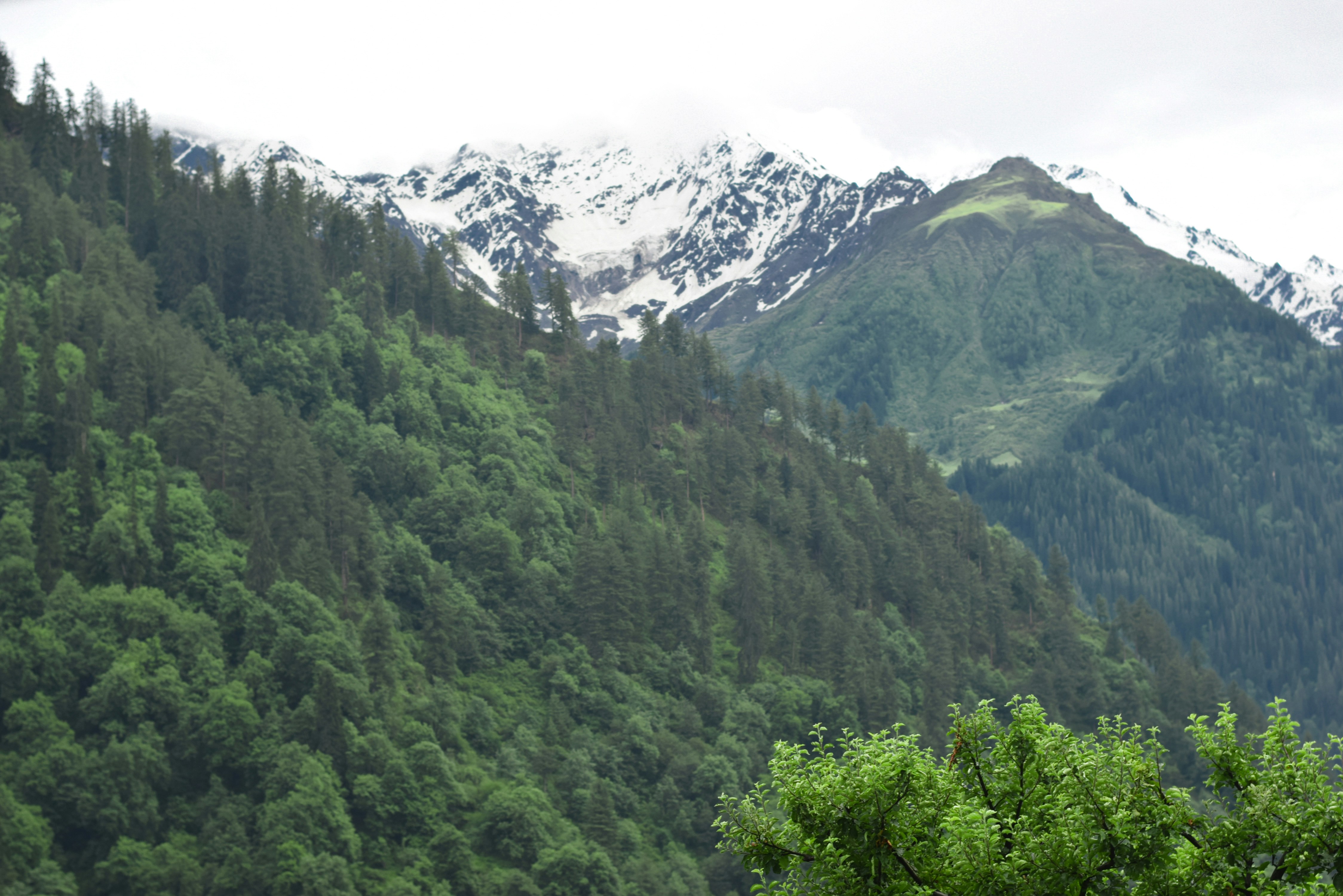 Free Unsplash photo from Himanshu Lamba