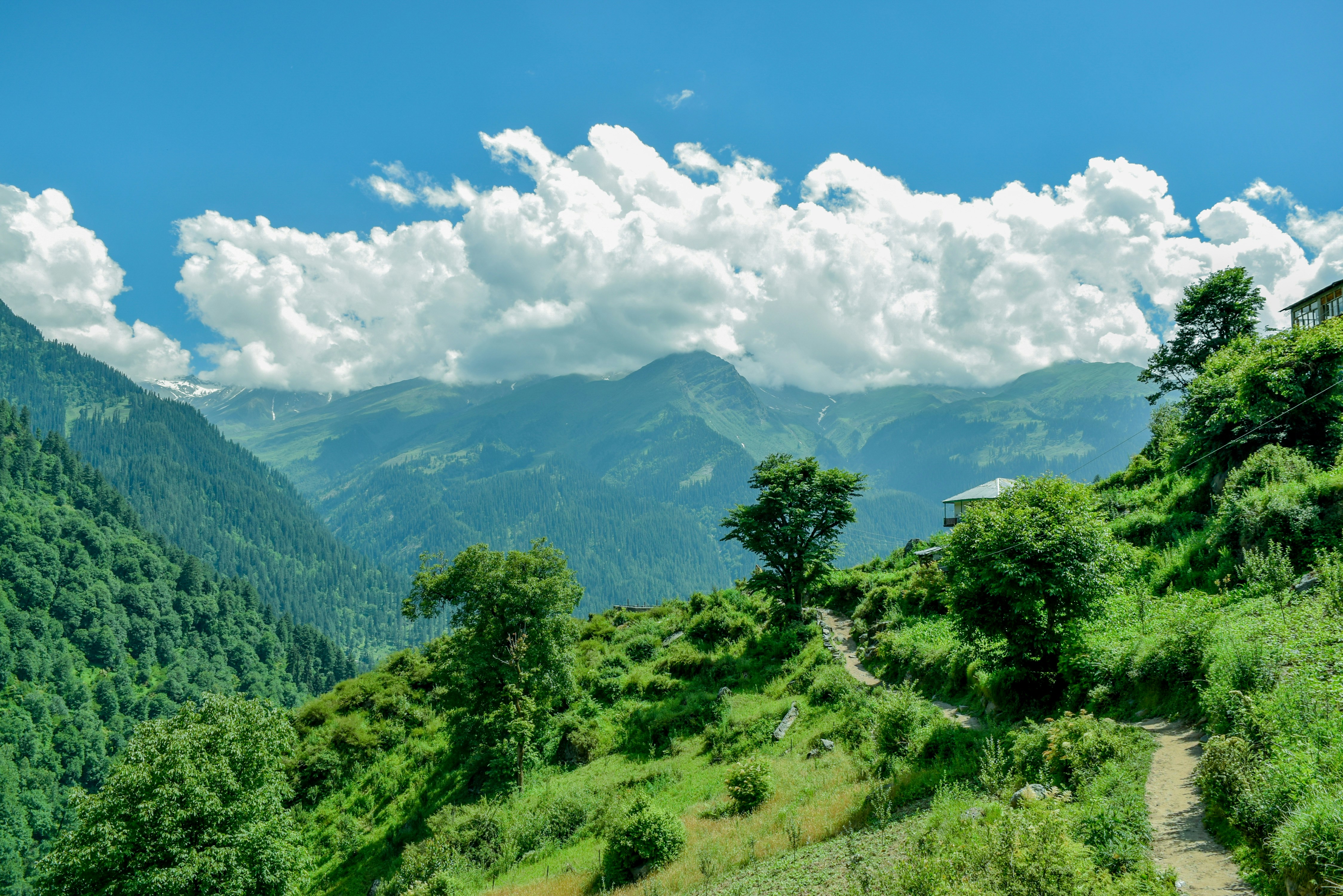 Free Unsplash photo from Himanshu Lamba