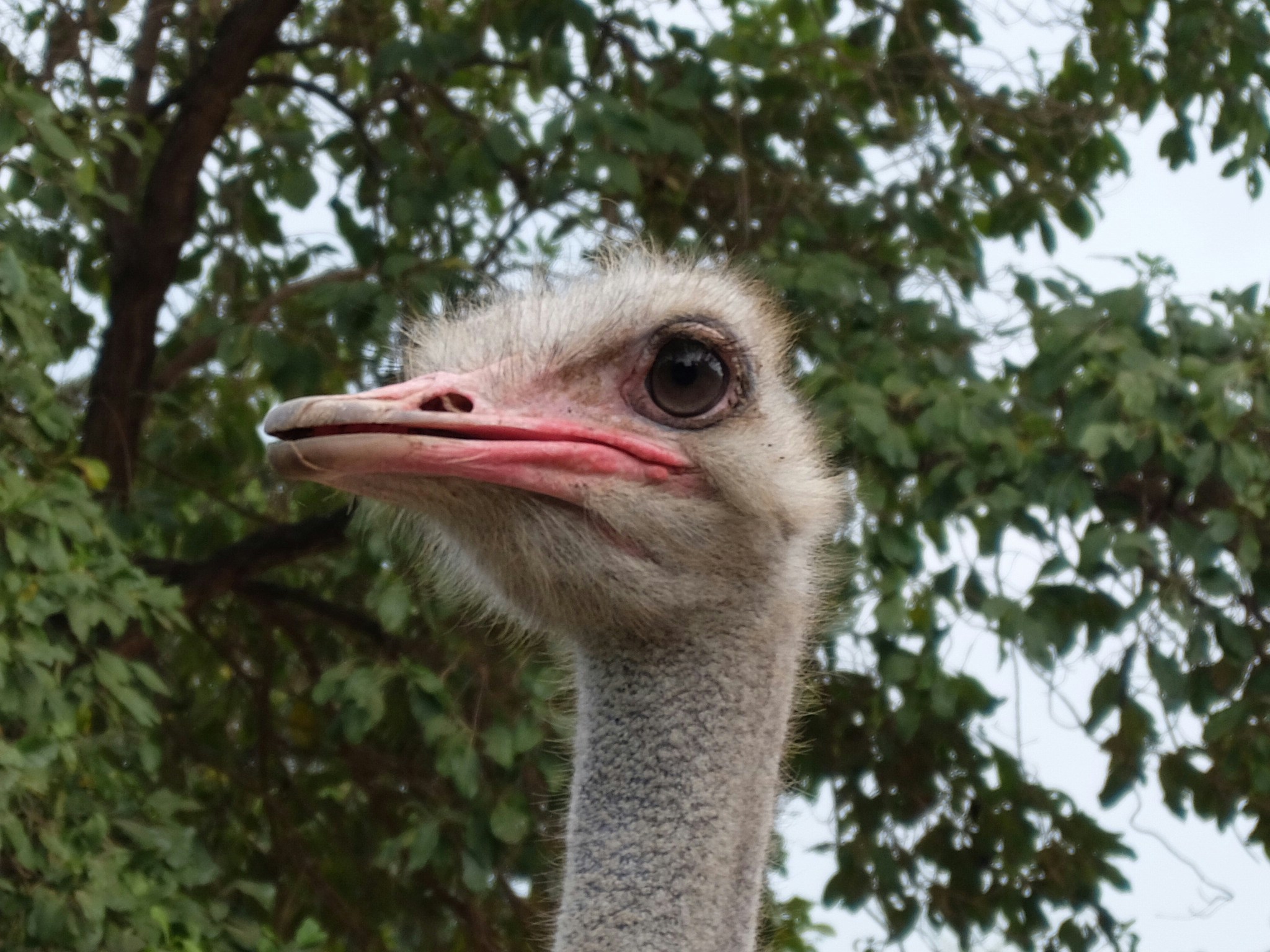 Free Unsplash photo from Sasinan Cherdchu