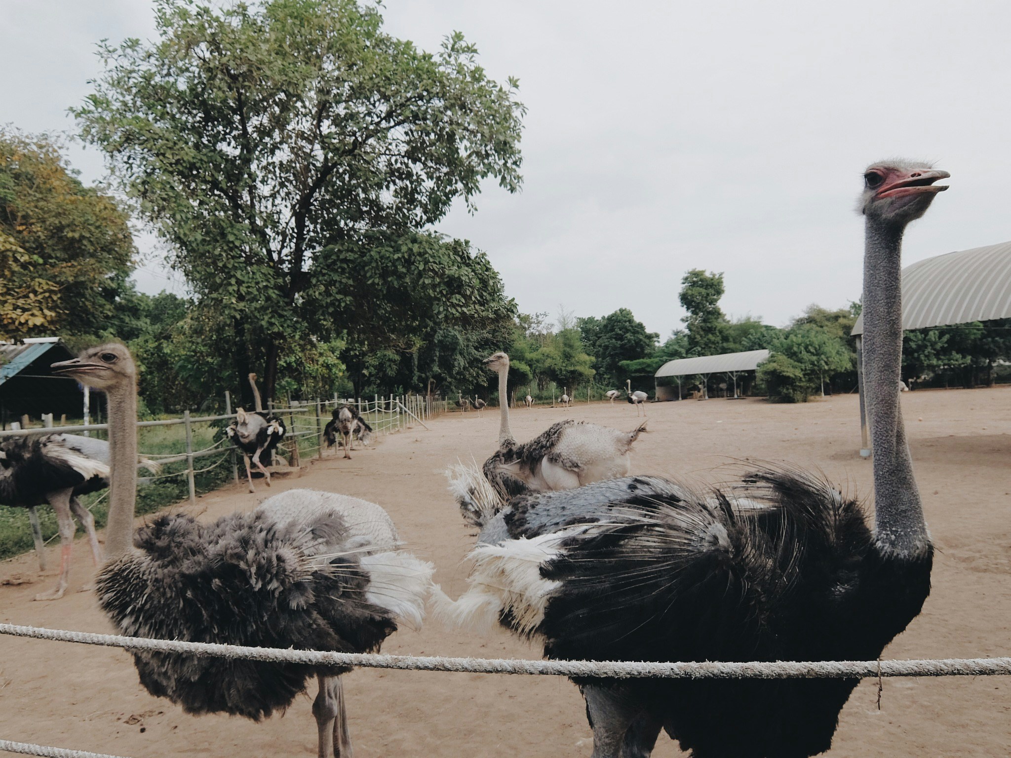 Free Unsplash photo from Sasinan Cherdchu