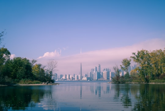 body of water between of fores trees in Toronto Islands Canada