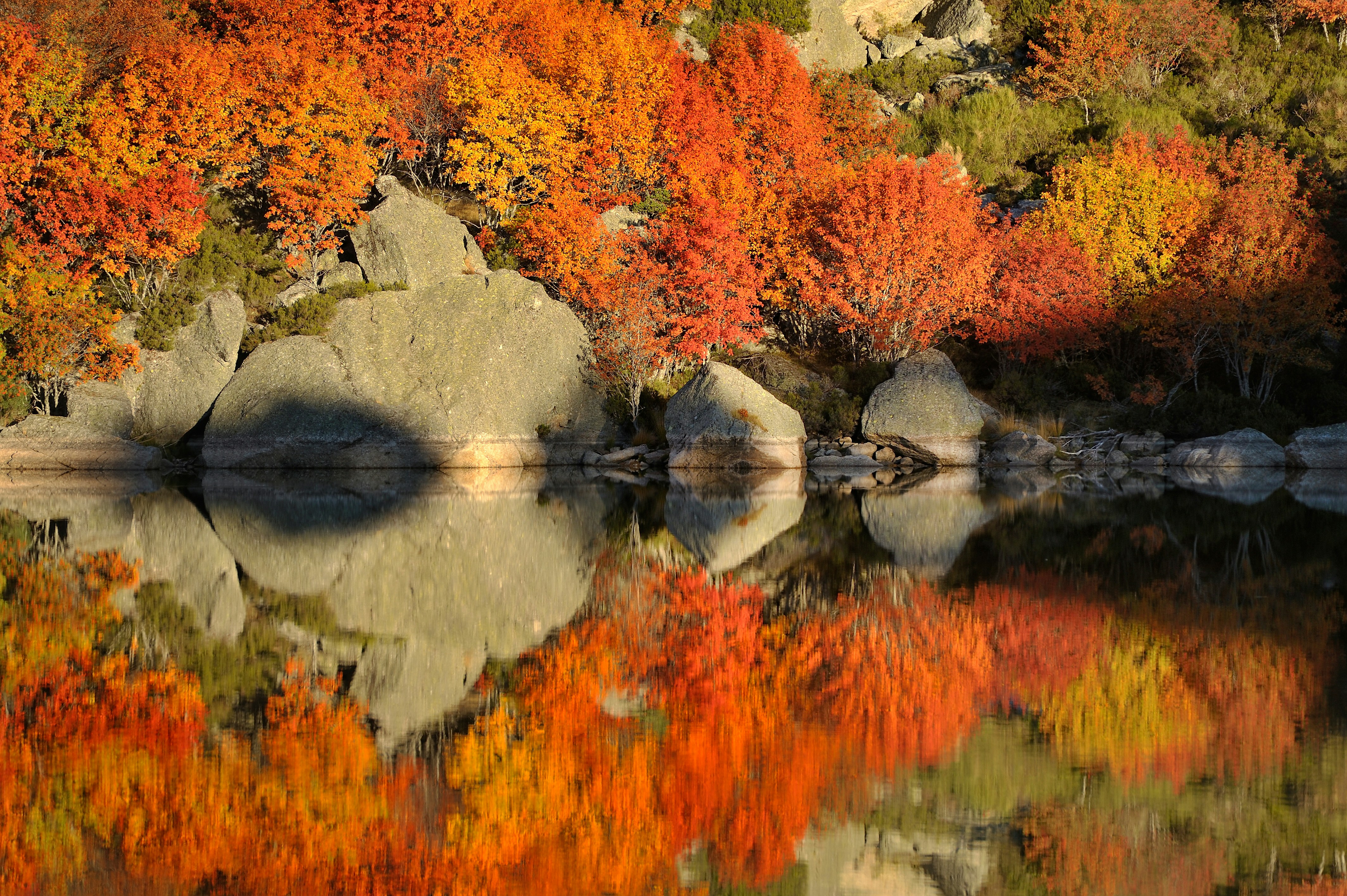 Free Unsplash photo from Antonio Rodriguez