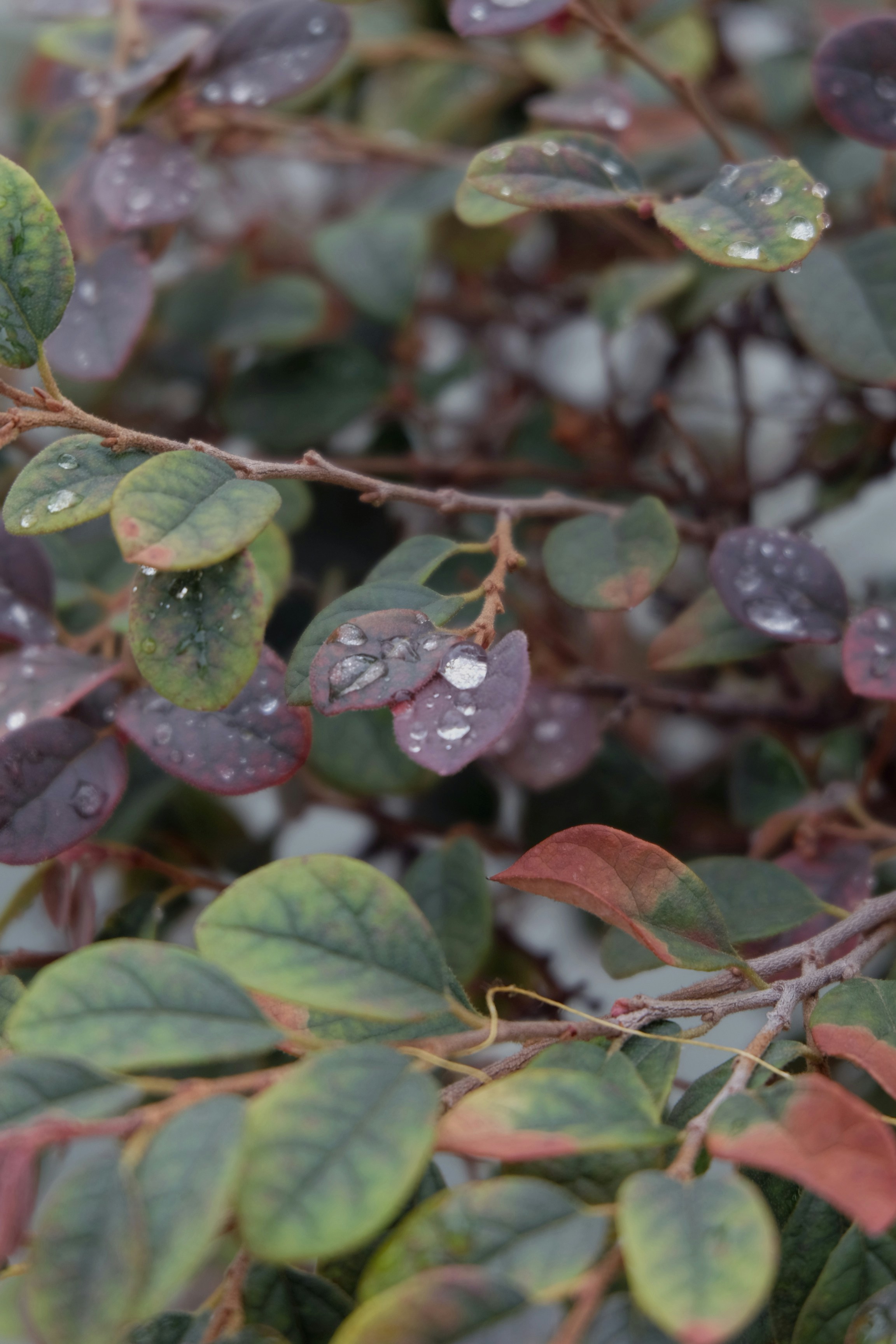 Free Unsplash photo from Eric BARBEAU