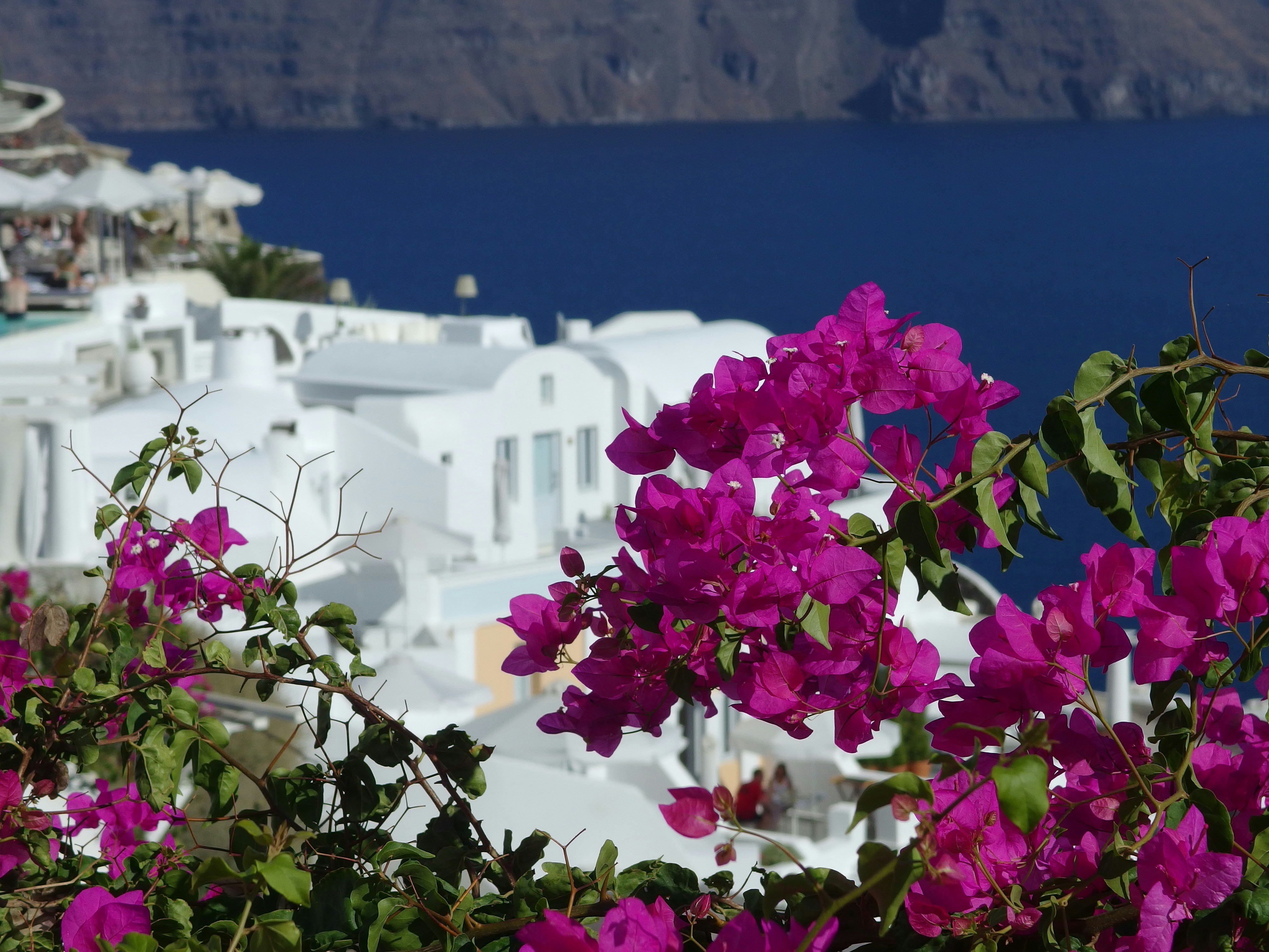 Free Unsplash photo from Tessy