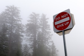 A motivational road sign with the message 'Do Not Give Up' is positioned against a backdrop of tall, foggy trees. The atmosphere is misty and serene, with the trees partially obscured by the fog.