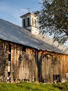 A rustic wooden barn with a weathered exterior is bathed in warm sunlight. It features a weather vane on top of a white cupola that stands out against the blue sky. A ladder leans against the barn, and a large tree casts its shadow on the building.