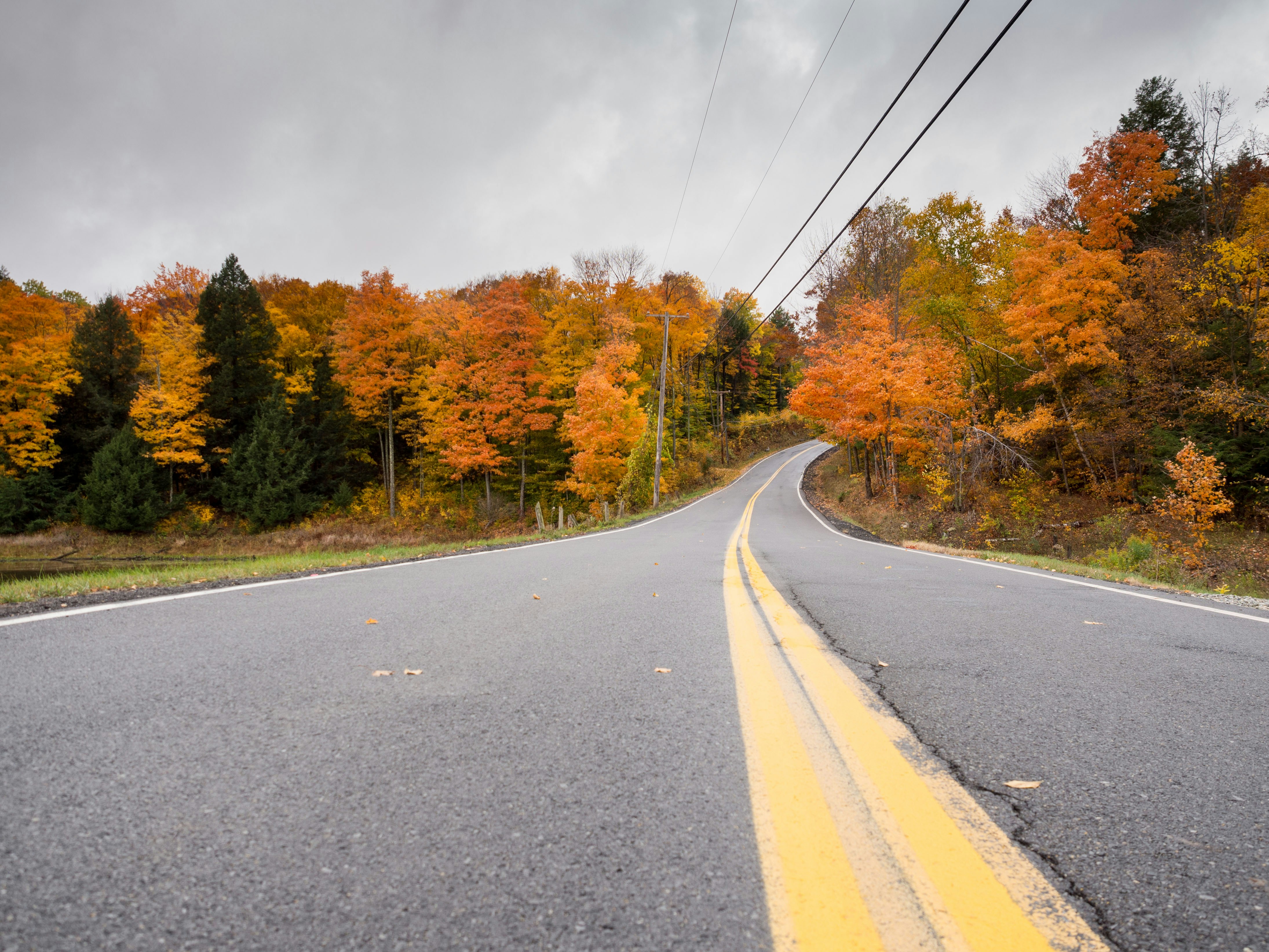 Free Unsplash photo from Kevin Antlitz