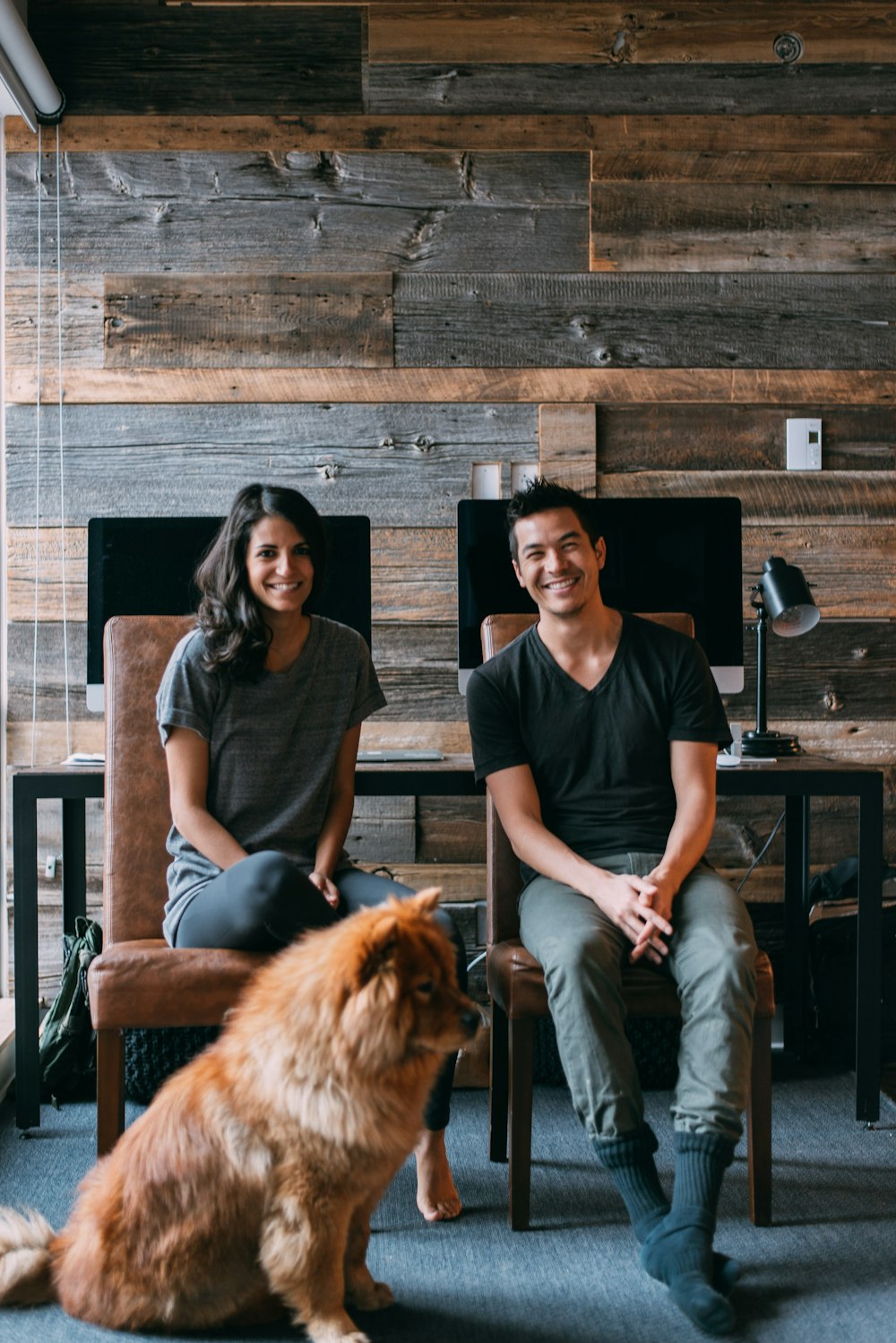 tan dog sitting beside man and woman