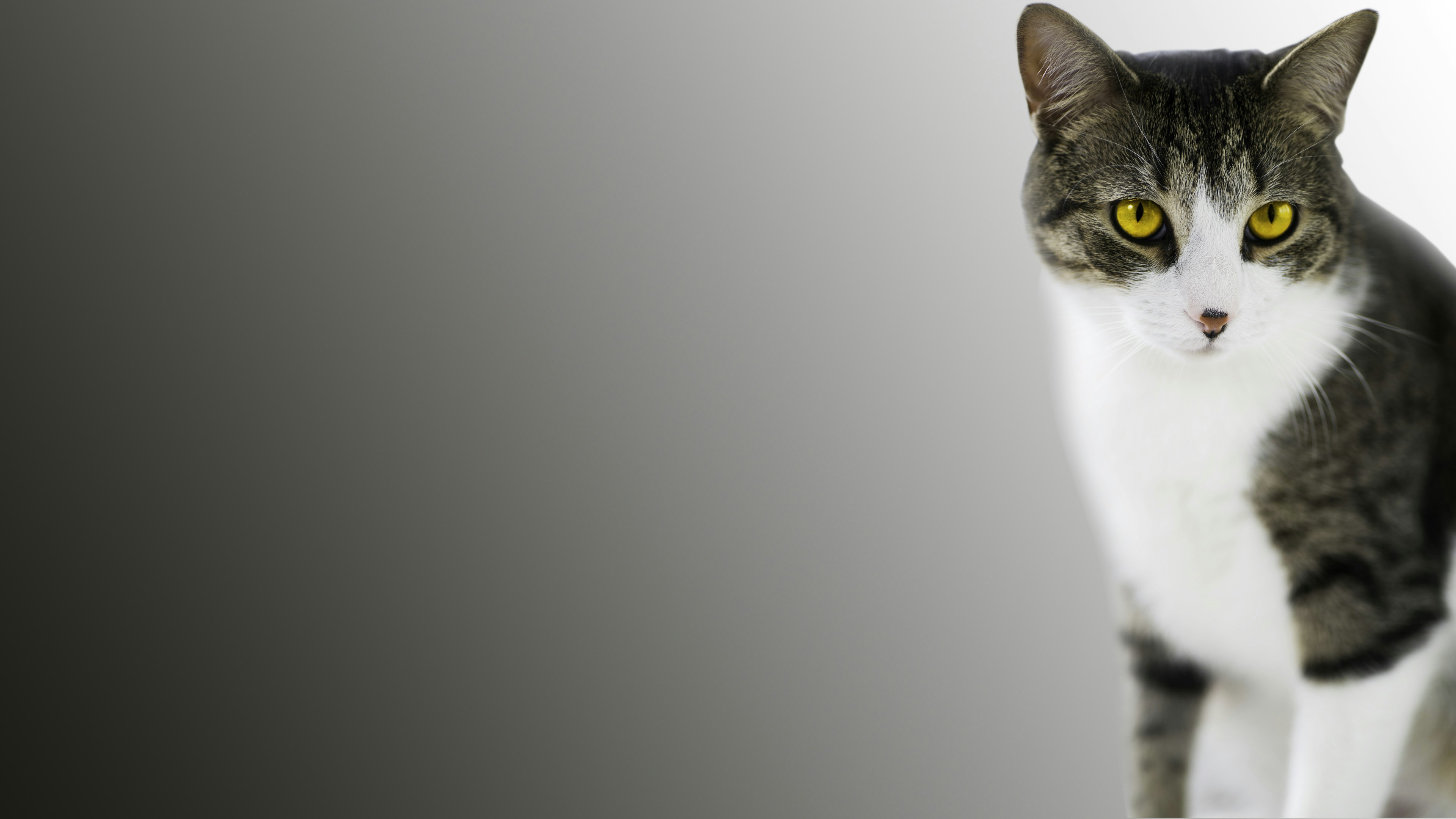 Free Unsplash photo from Serhat Duygun