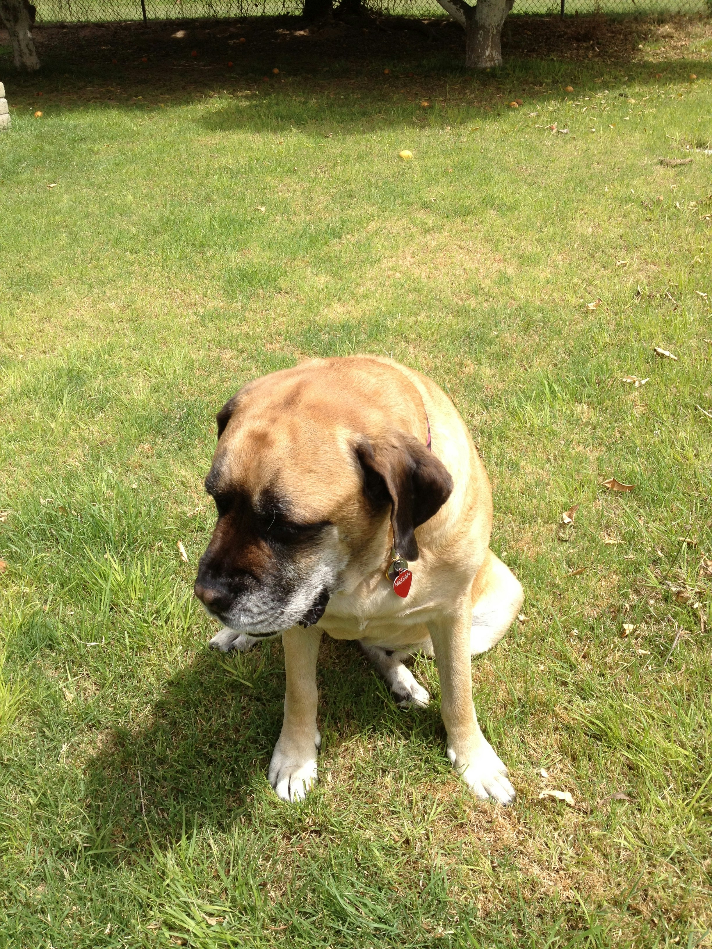 Free Unsplash photo from Rick Gould