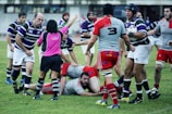 A group of rugby players on a grassy field engaged in a game. Players are wearing distinct team colors, with one team in purple and white stripes and another in red and grey. An official wearing a pink and black uniform is in the center, appearing to be making a call. One player is on the ground holding the ball, while others are gathered closely around.