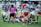 A group of rugby players on a grassy field engaged in a game. Players are wearing distinct team colors, with one team in purple and white stripes and another in red and grey. An official wearing a pink and black uniform is in the center, appearing to be making a call. One player is on the ground holding the ball, while others are gathered closely around.