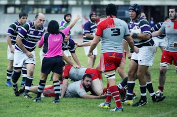 A group of rugby players on a grassy field engaged in a game. Players are wearing distinct team colors, with one team in purple and white stripes and another in red and grey. An official wearing a pink and black uniform is in the center, appearing to be making a call. One player is on the ground holding the ball, while others are gathered closely around.