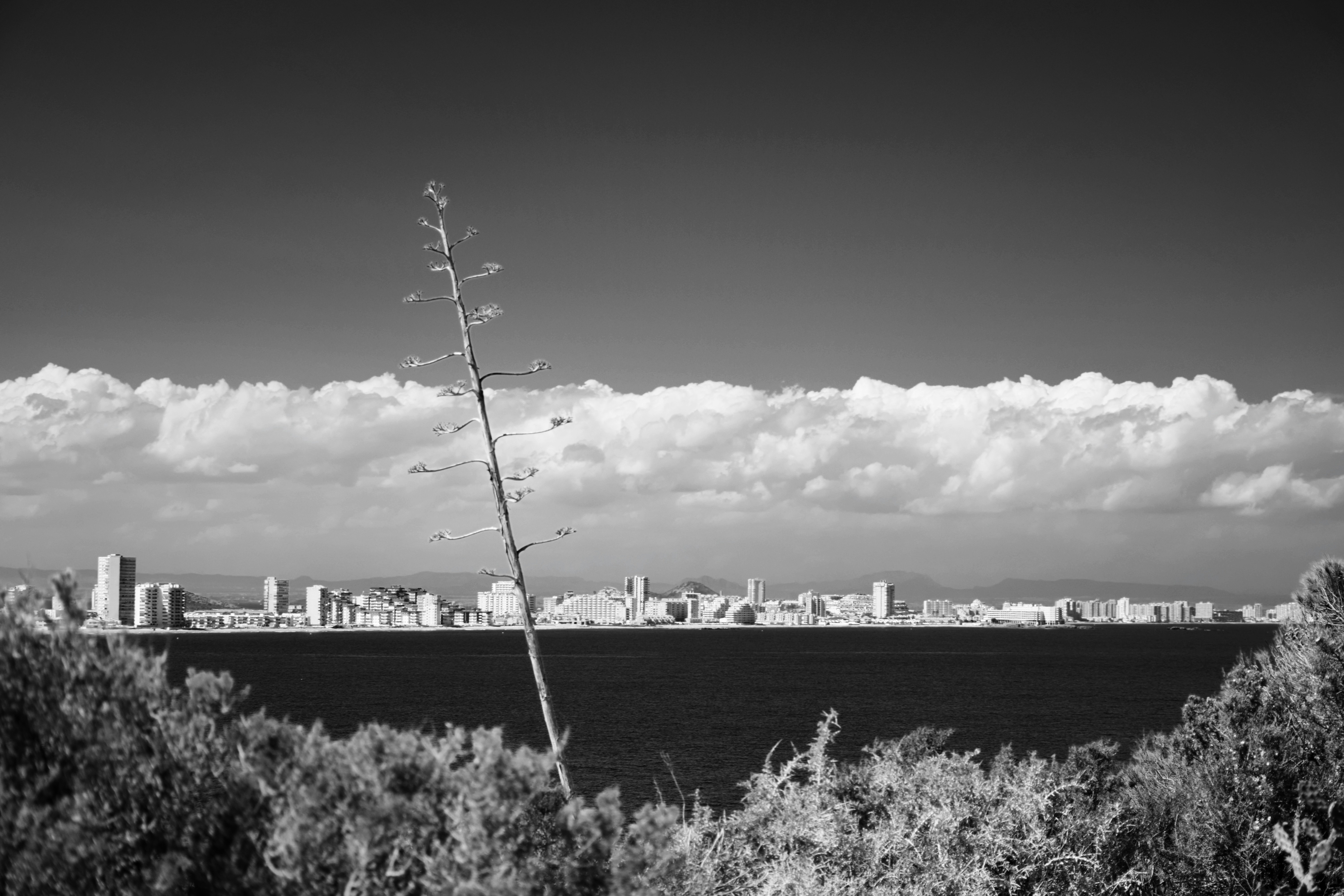 Free Unsplash photo from Jose Orenes Martinez