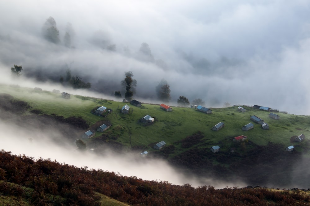 houses surrounded by fog