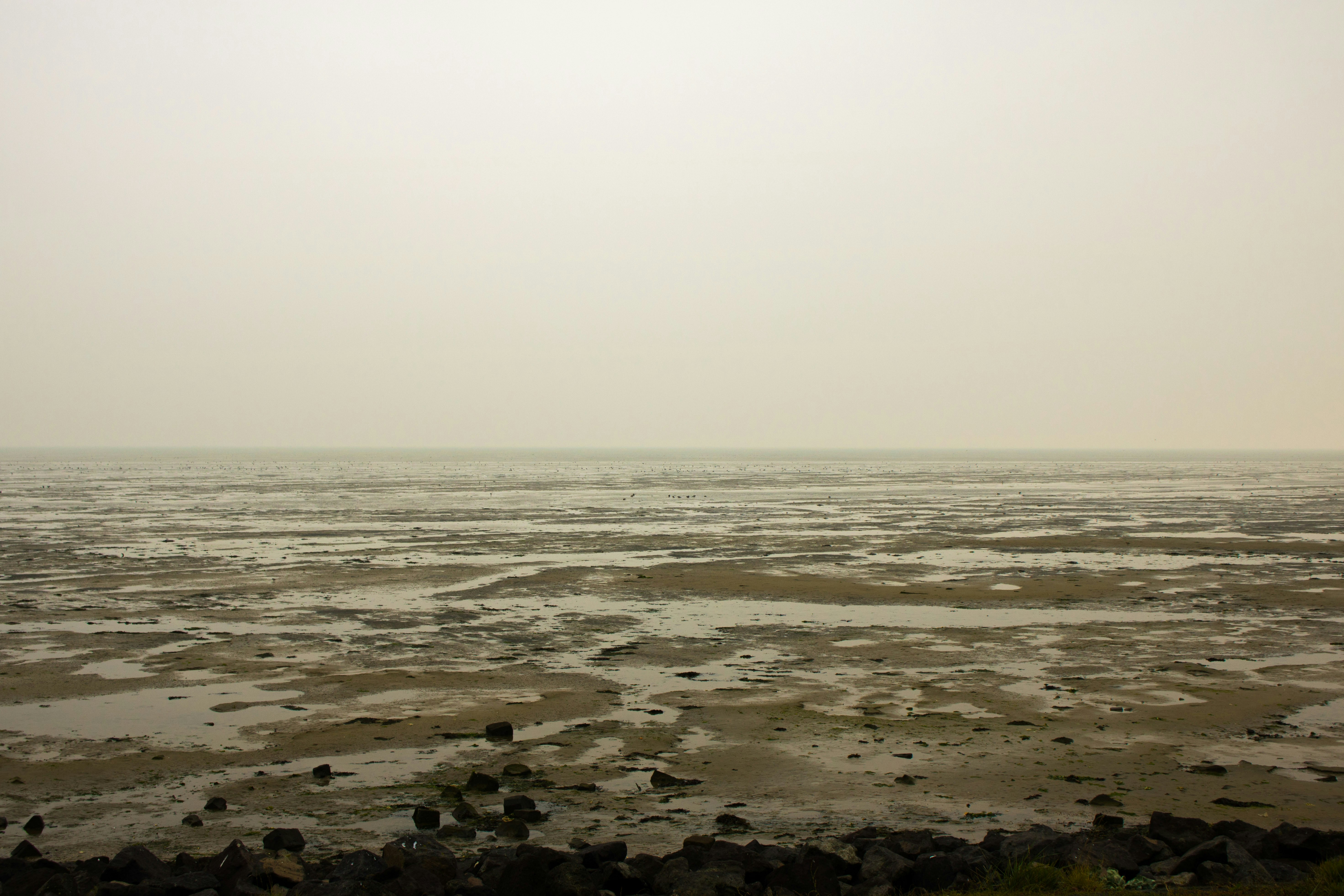 Free Unsplash photo from Wesley van Pinxteren