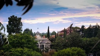 A beautiful view of the location where the foundation's activities take place.