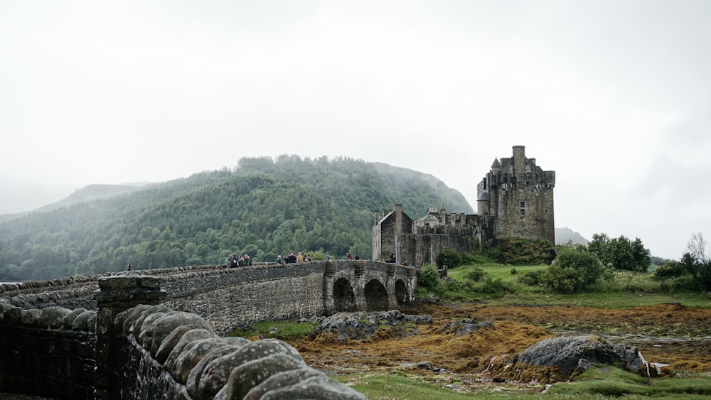 stone wall with tower beside mountain