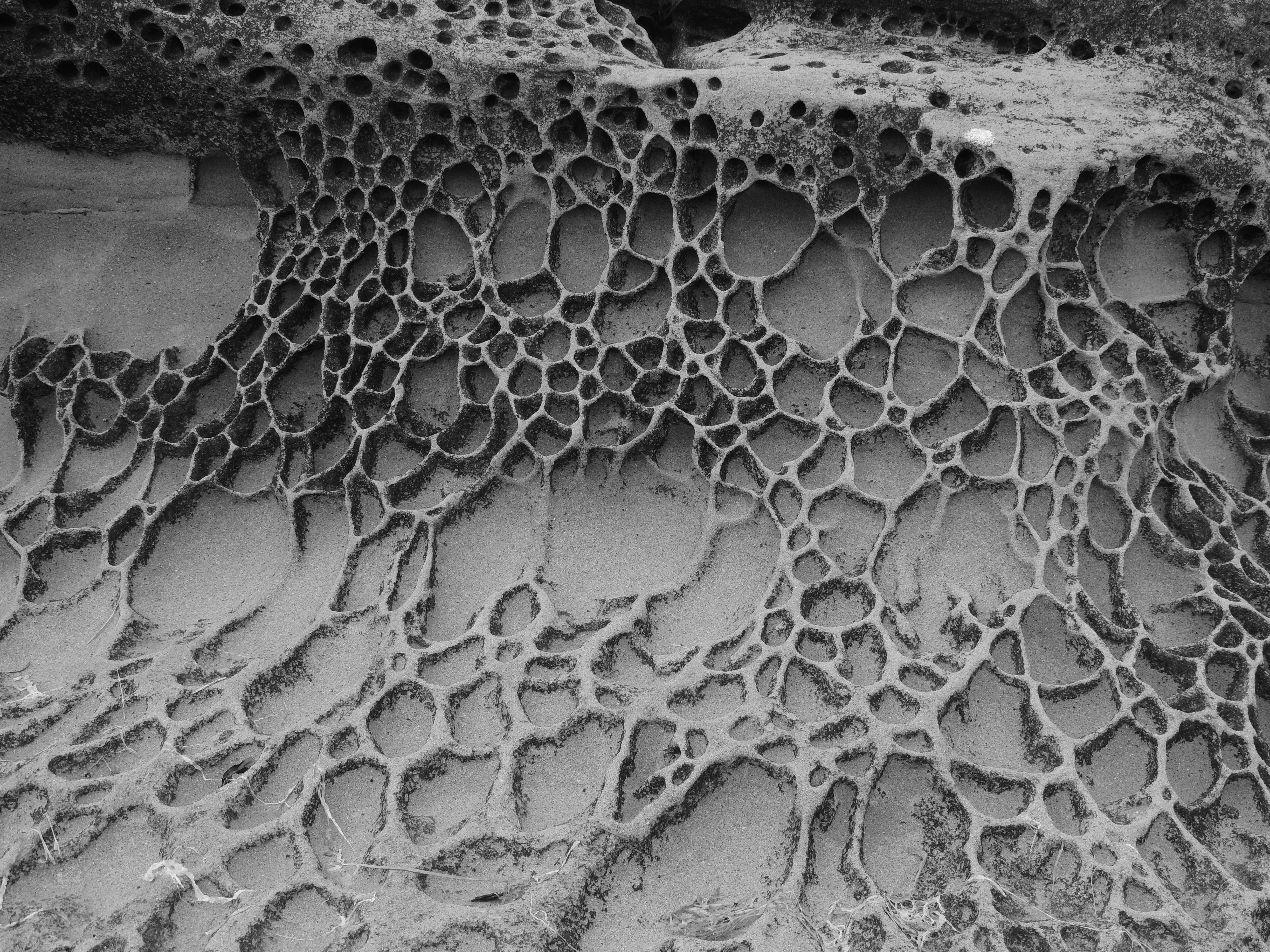 Free Unsplash photo from Carolyn Hyde