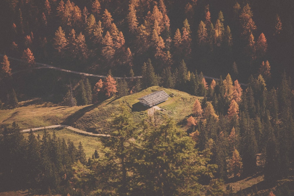 aerial photo of house surrounded by pine trees during daytime