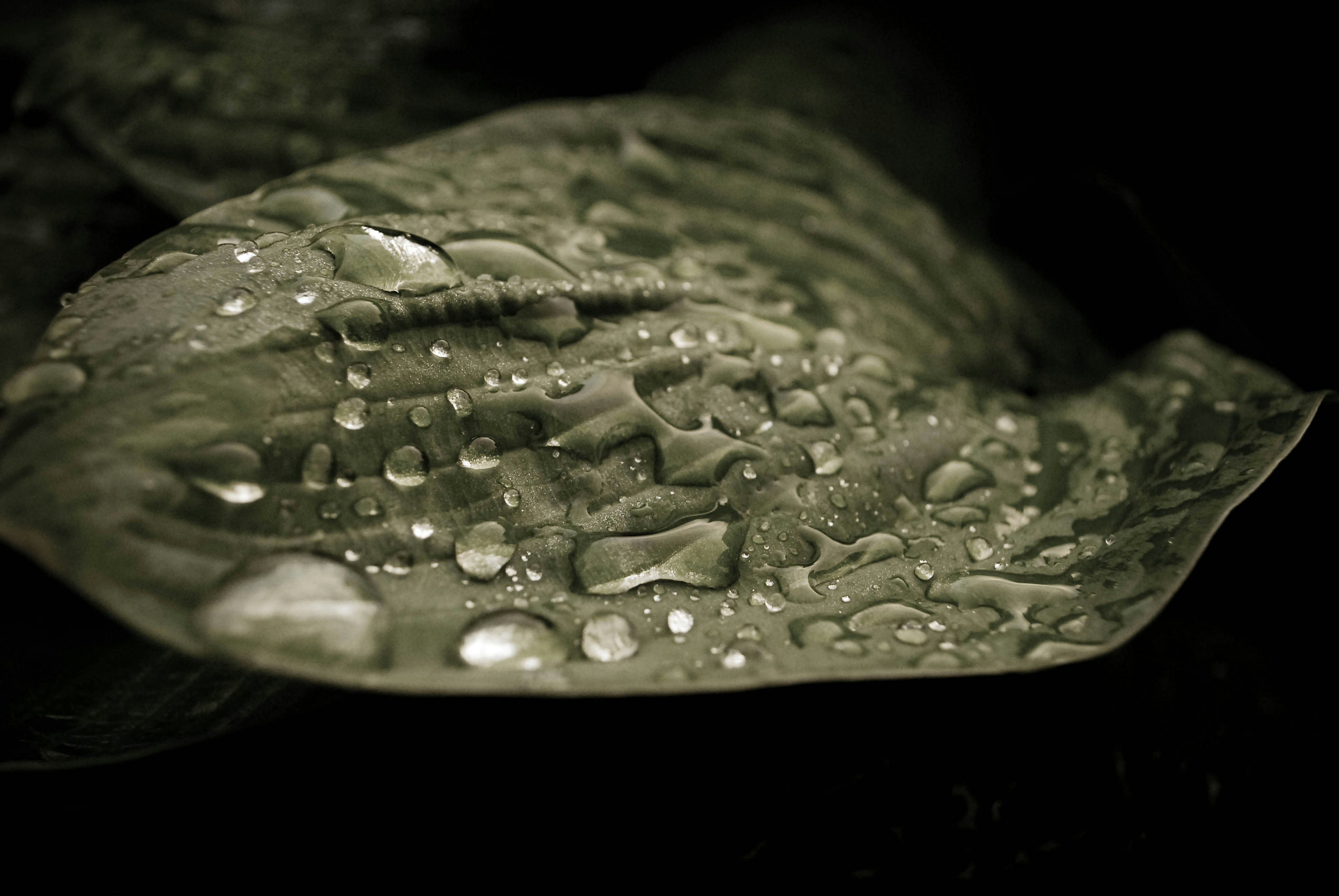 Free Unsplash photo from Aleksandr Isaychev