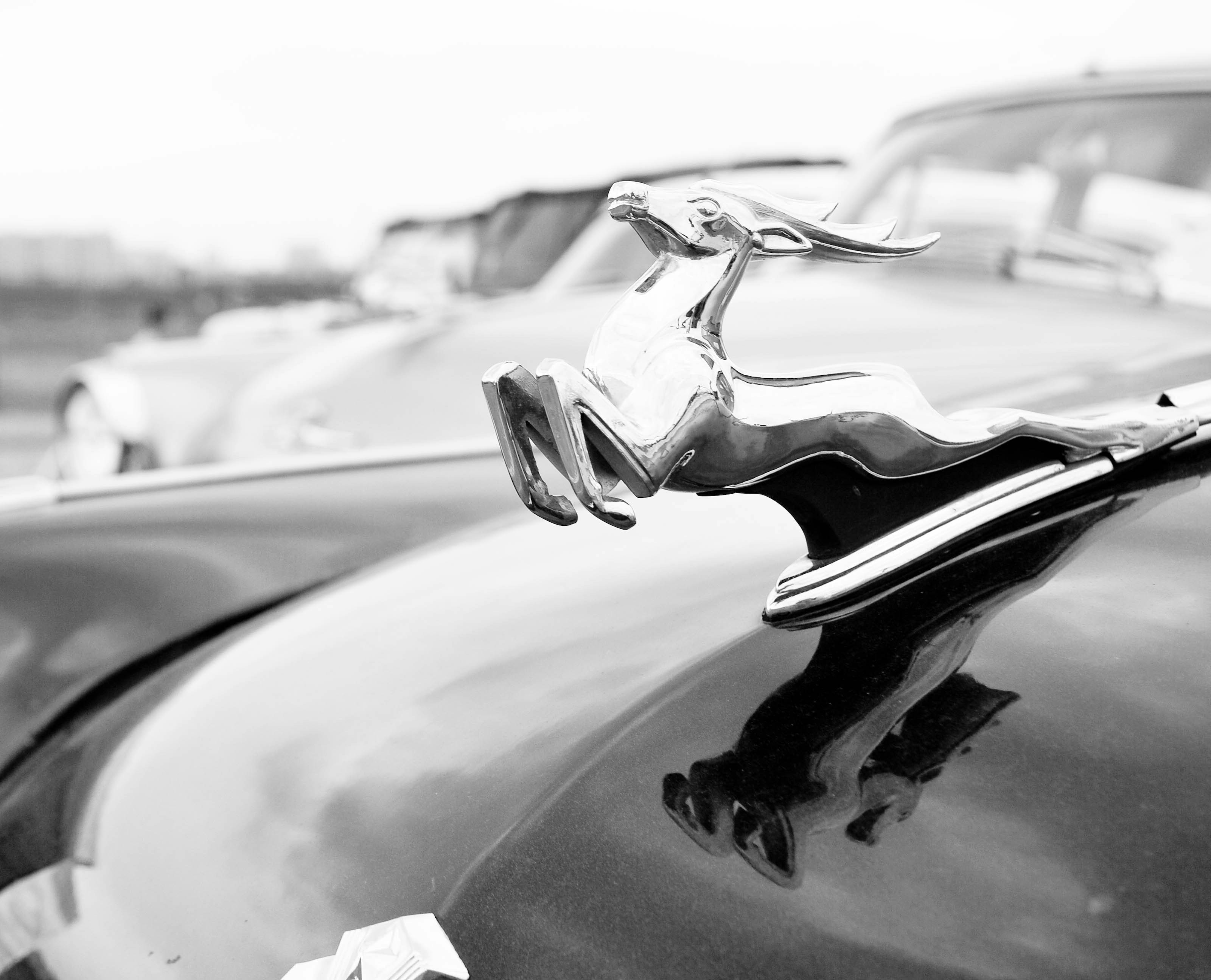 Free Unsplash photo from Aleksandr Isaychev