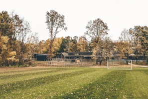 Exterior shot of the stable building surrounded by green fields under a blue sky