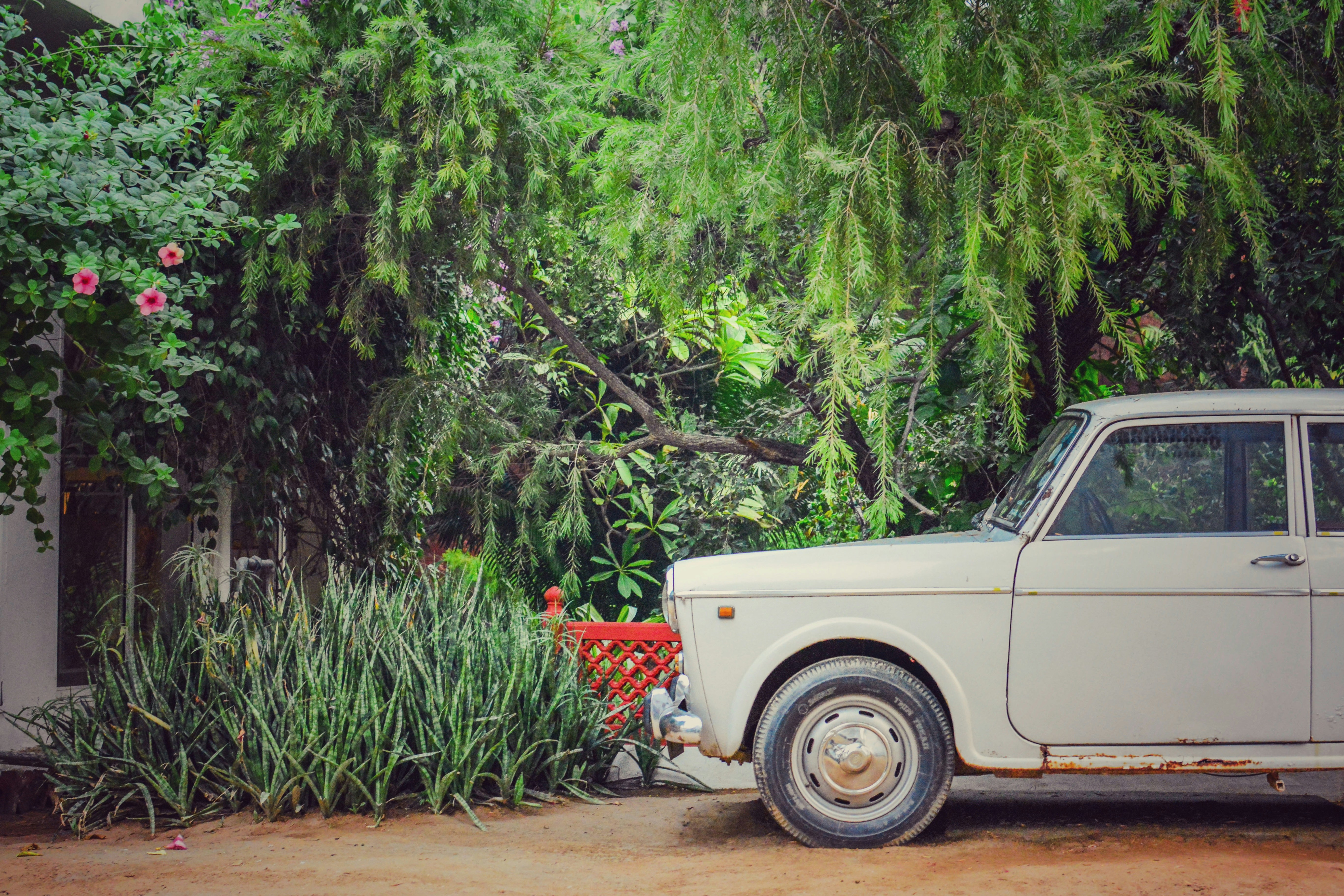 Free Unsplash photo from Sudarshan Bhat