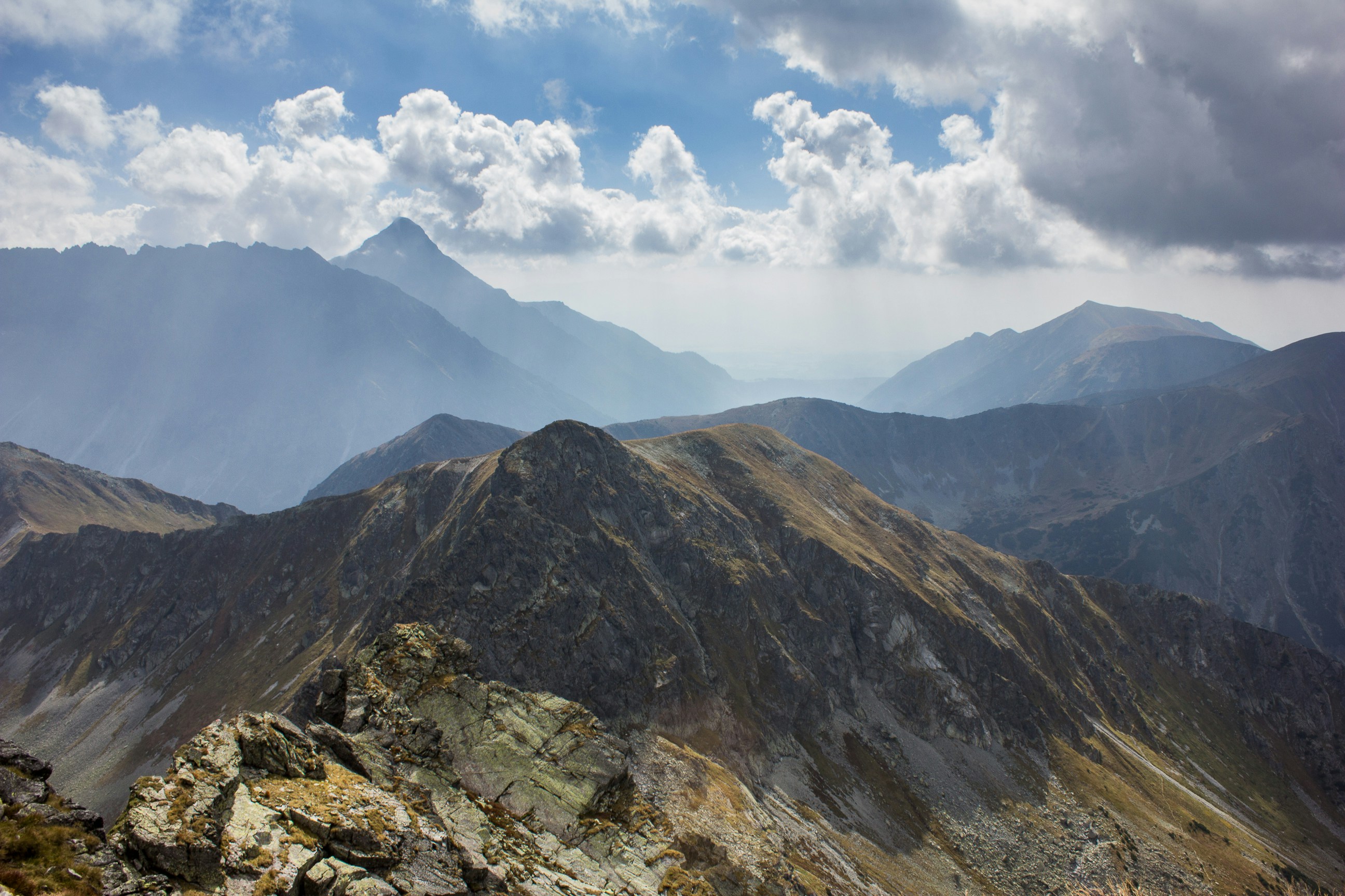 Free Unsplash photo from Filip Żywicki