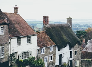 top view photography of white and brown concrete houses