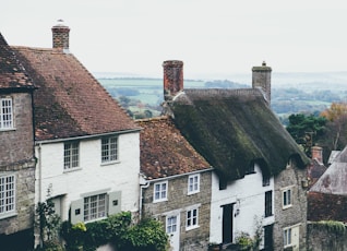 top view photography of white and brown concrete houses