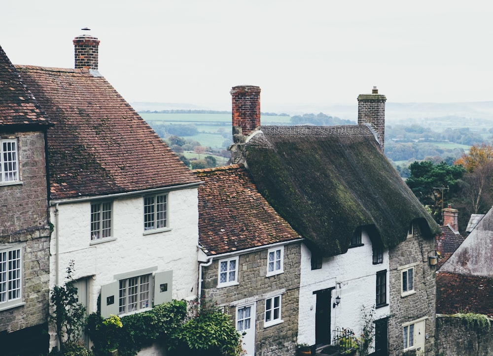 top view photography of white and brown concrete houses