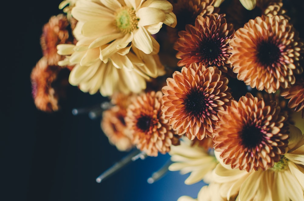 Strauß beigefarbene und orangefarbene Blumen