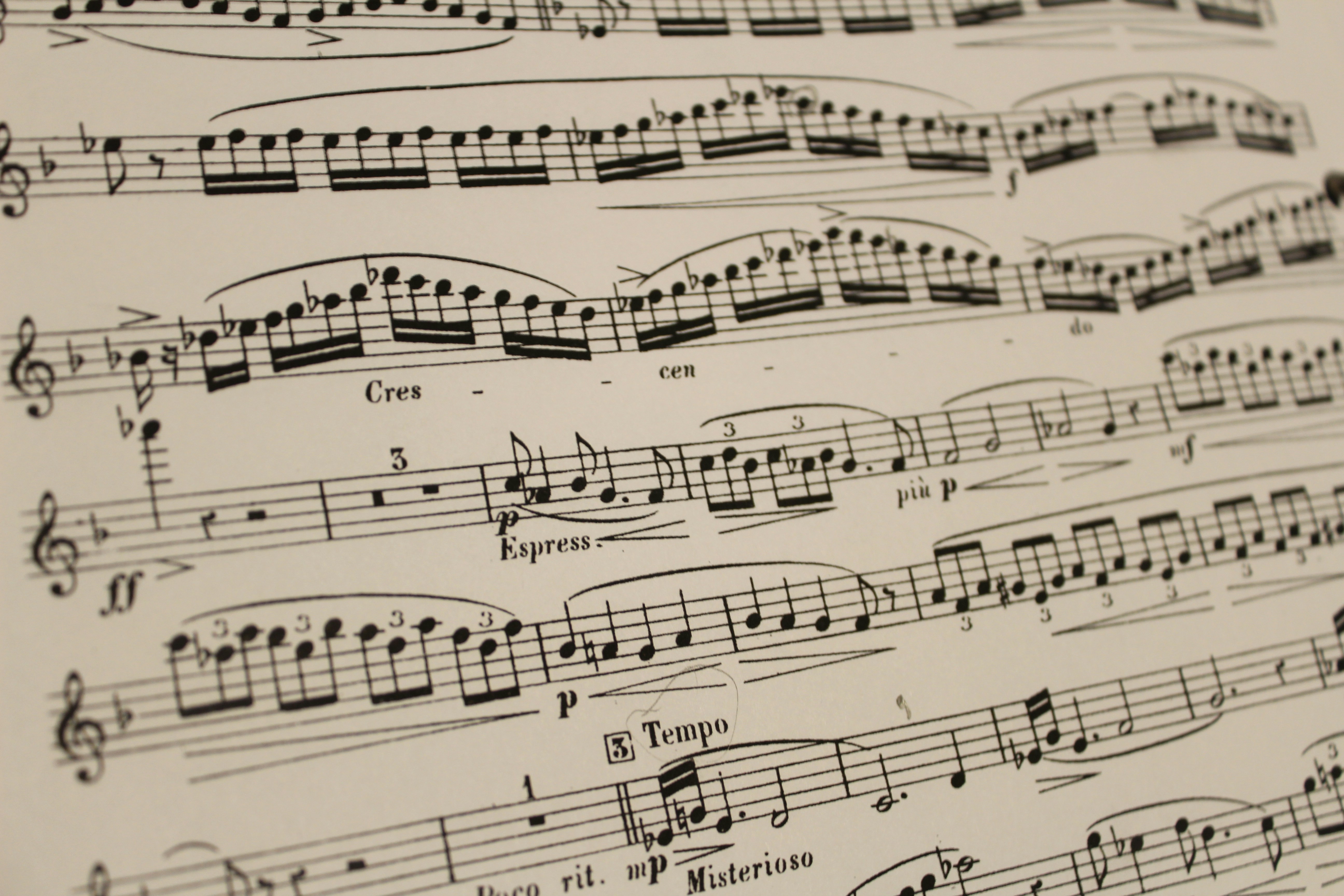 Free Unsplash photo from Gretchen