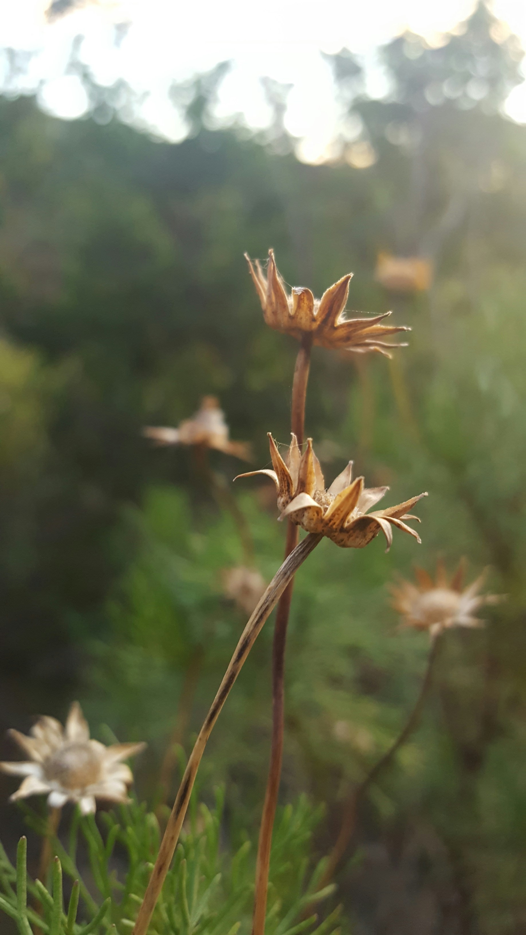 Free Unsplash photo from Sabrina Henry