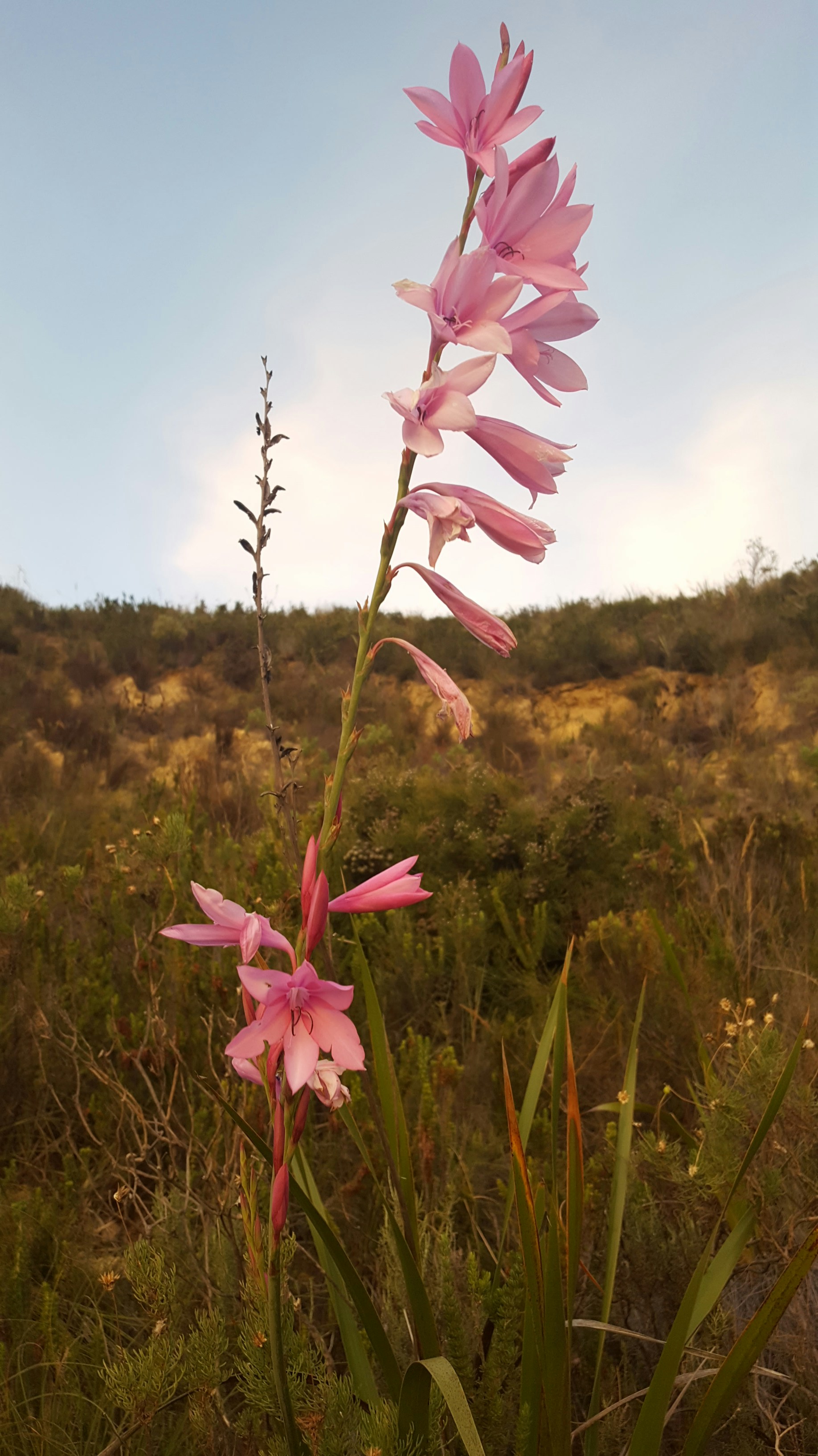 Free Unsplash photo from Sabrina Henry