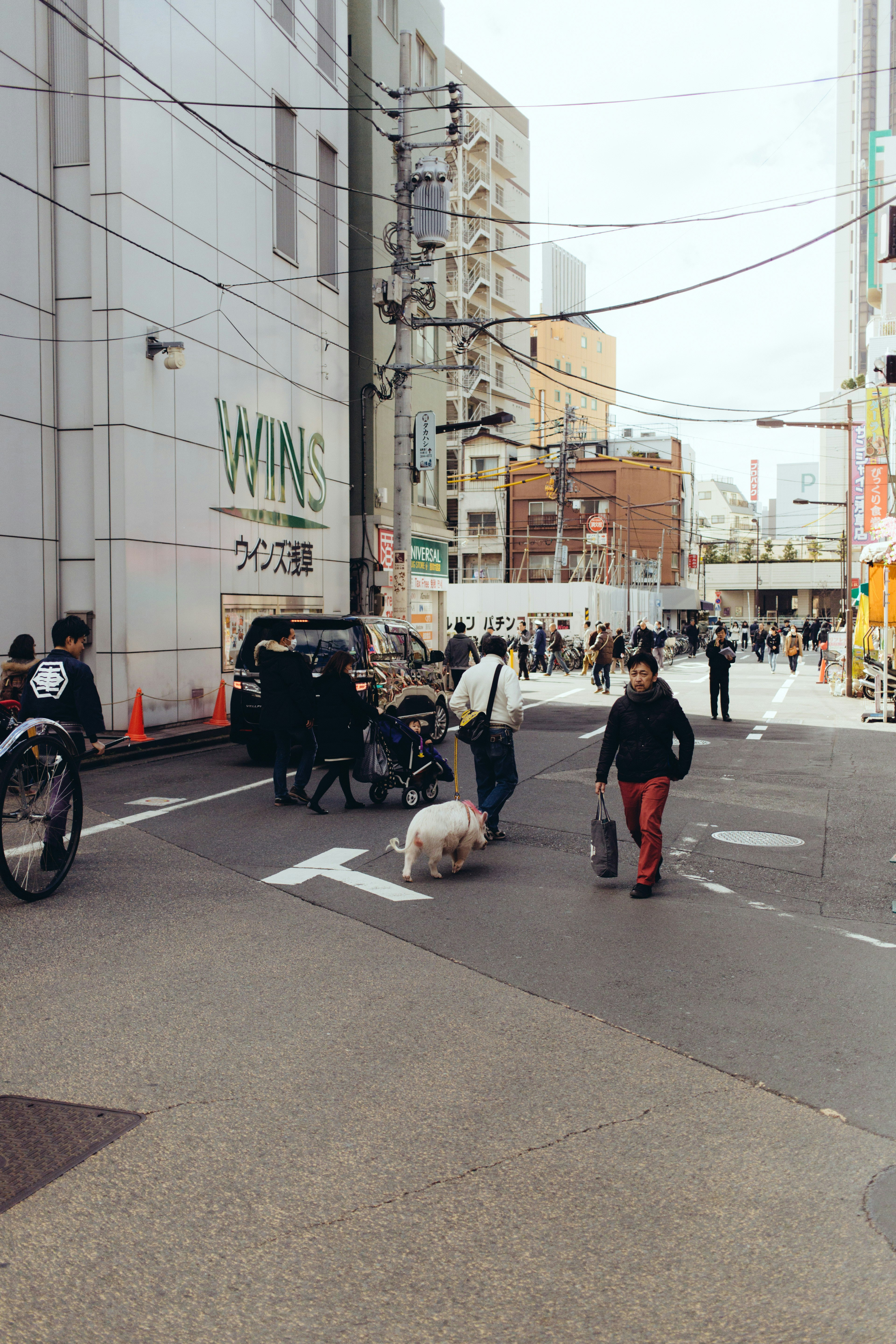 Free Unsplash photo from Don Fontijn