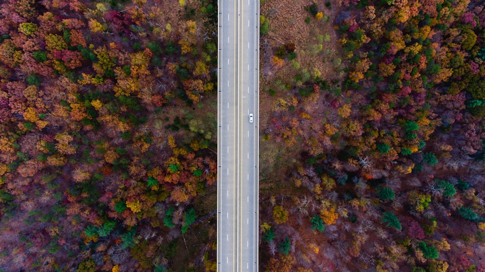 aerial view of gray concrete bridge